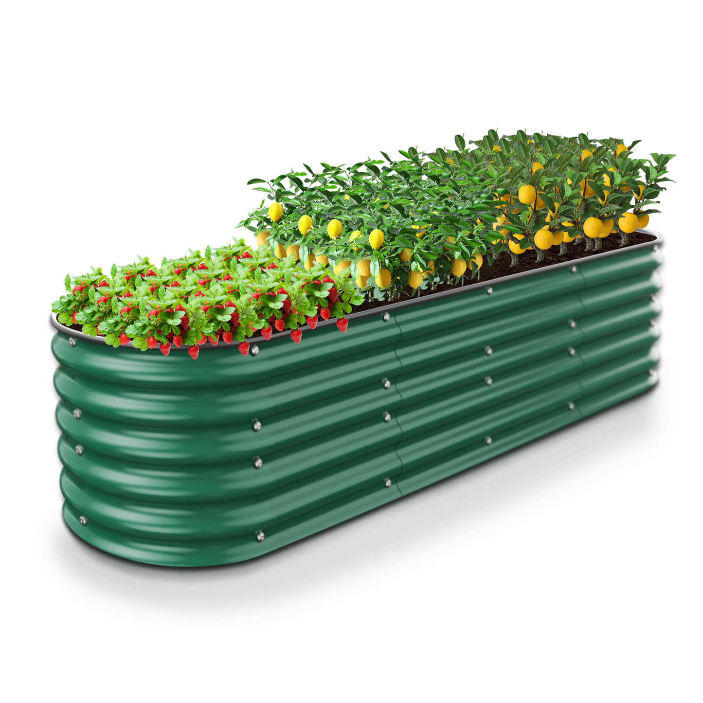 Nossta Galvanized Raised Garden Beds Outdoor Plant Boxes